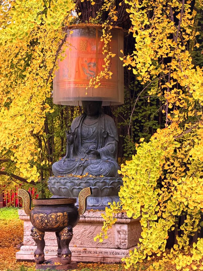 游全记录：深度体验从城墙根到烟火气OG视讯跟着攻略走不踩雷｜西安5日(图2)